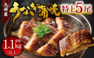 九州産 うなぎ 蒲焼 特上 5尾 計1.1kg以上 (1尾あたり220～235g)【2026年7月発送】