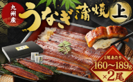 九州産 うなぎ 蒲焼 上 2尾 (1尾あたり160～189g)【2026年8月発送】