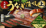 九州産 うなぎ 蒲焼 上 3尾 (1尾あたり160～189g)【2026年8月発送】