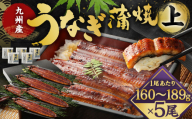 九州産 うなぎ 蒲焼 上 5尾 (1尾あたり160～189g)【2026年7月発送】