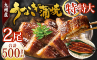 九州産 うなぎ蒲焼 特特大2尾 (1尾あたり250～266g) 合計500g以上【2026年7月発送】