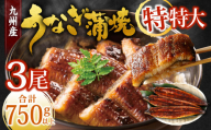 九州産 うなぎ蒲焼 特特大3尾 (1尾あたり250～266g) 合計750g以上【2026年7月発送】