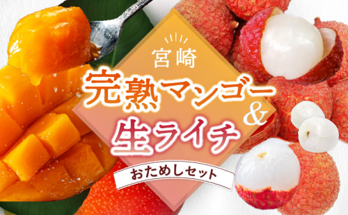 【先行予約】希少 完熟マンゴー＆生ライチセット / 宮崎県産 ライチ マンゴー【JA綾町】_A0114-209 2629790 - 宮崎県綾町