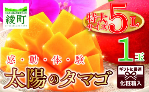 完熟マンゴー「太陽のタマゴ」５L×１玉【JA綾町】_A0114-232 2629791 - 宮崎県綾町