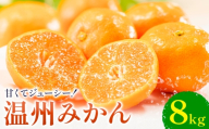 温州みかん 約8kg 日本フルーツ株式会社 熊本県 荒尾市 《10月中旬-2月中旬頃出荷》 デコポン 果物 フルーツ スイーツ デザート