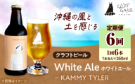 【全6回定期便】-CLIFF BEER- KAMMY TYLER  (ホワイトエール) 6本入り ビール クラフトビール 350ml 飲み比べ ギフト 沖縄市 / 株式会社クリフクラフト [BCDS015]