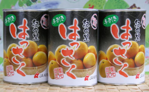 和歌山産手剥き八朔缶詰450g×8缶入り［TM14］ 2629907 - 和歌山県那智勝浦町