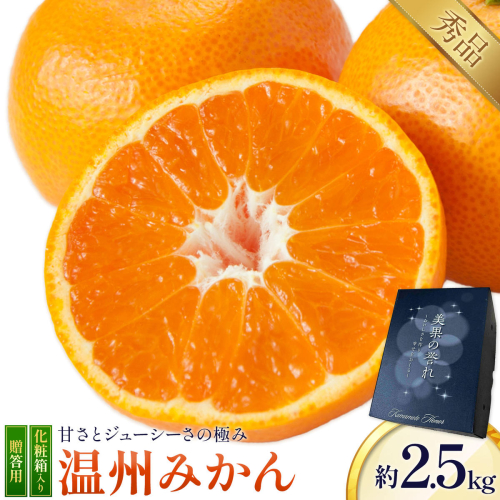 温州みかん贈答用 2.5kg 化粧箱 日本フルーツ株式会社 《11月上旬-2月中旬頃出荷》 熊本県 長洲町 デコポン 果物 秀品 フルーツ スイーツ デザート ギフト ご贈答 2629908 - 熊本県長洲町