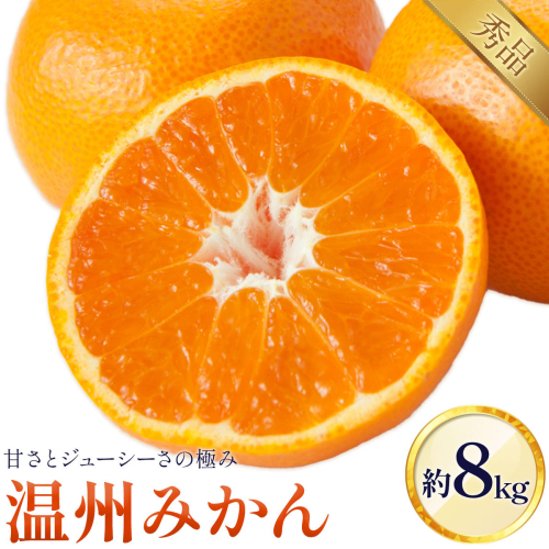 温州みかん 8kg 日本フルーツ株式会社 《10月中旬-2月中旬頃出荷》 熊本県 長洲町 デコポン 果物 秀品 フルーツ スイーツ デザート ギフト ご贈答 2629909 - 熊本県長洲町