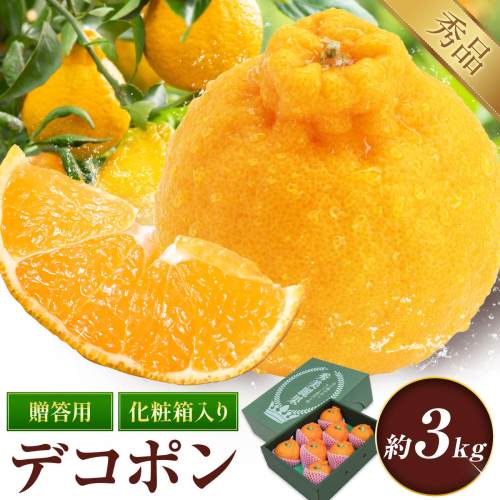 デコポン 3kg 贈答用化粧箱 （8～12玉） 日本フルーツ株式会社《12月中旬-4月中旬頃出荷》熊本県 長洲町 デコポン 果物 秀品 フルーツ スイーツ デザート ギフト ご贈答 2629910 - 熊本県長洲町