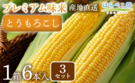 【感動の甘さ】とうもろこしプレミアム味来  6本入り／3箱・H114