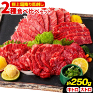 馬刺し 極上 霜降り 2種 食べ比べ セット 株式会社利他フーズ《30日以内に出荷予定(土日祝除く)》 中トロ 大トロ 国産 冷凍 生食用 肉 馬肉 ふるさと納税馬刺し 熊本県 南阿蘇村 送料無料 馬刺 ばさし 名物