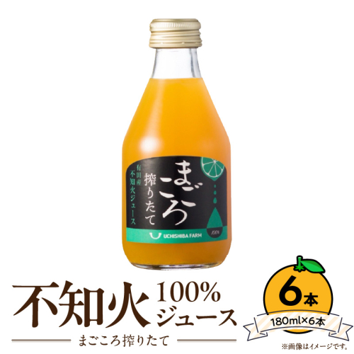ZE6434_【まごころ搾りたて】不知火 100%ジュース 180ml × 6本 2630221 - 和歌山県湯浅町