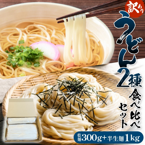【 訳あり 】 うどん 2種 食べ比べセット （ 乾麺 300g ・ 半生麺 1kg ）〈 冷凍 〉  訳アリ うどん 乾麺 業務用 鍋 〆 アレンジ 簡易包装 富山 氷見 2630283 - 富山県氷見市