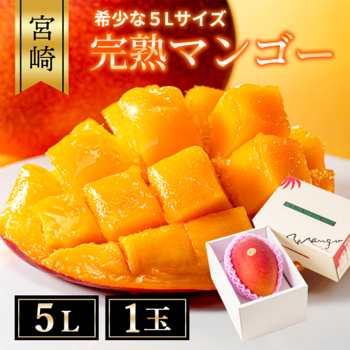 完熟マンゴー５L×１玉【JA綾町】_A0114-233 2630531 - 宮崎県綾町