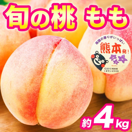 もも 約4kg（10～22玉）【桃 もも モモ 果物 フルーツ デザート 食後 錦町産】※配送不可：離島 2630619 - 熊本県錦町