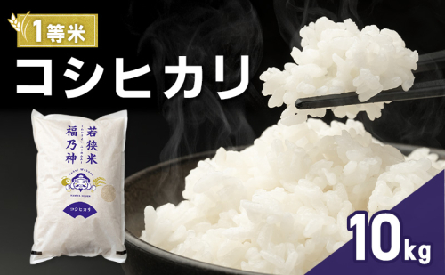 令和7年産 コシヒカリ 10kg（一等米・神谷農園） 米 お米 こしひかり 若狭町 2630622 - 福井県若狭町