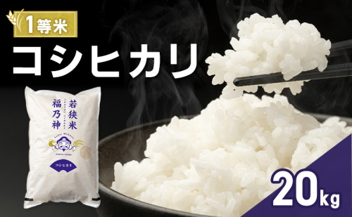令和7年産 コシヒカリ 20kg（一等米・神谷農園） 米 お米 こしひかり 若狭町 2630623 - 福井県若狭町