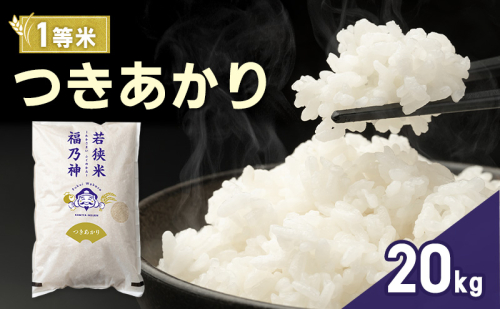 令和7年産 つきあかり 20kg（一等米・神谷農園） 米 お米 若狭町 2630625 - 福井県若狭町
