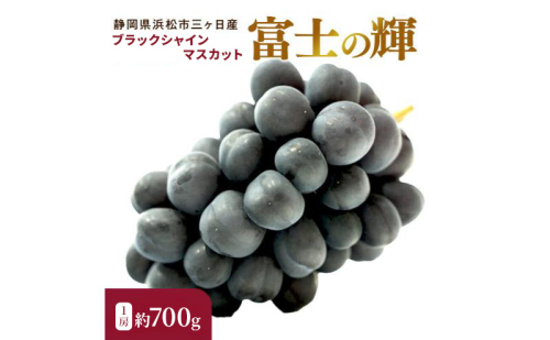 【期間限定】【静岡県浜松市三ヶ日産】高平農園のブラックシャインマスカット「富士の輝」1房（約700g）化粧箱入り ぶどう 夏 大粒 ブドウ 贈答 ギフト 静岡 浜松市【配送不可：離島】 2630705 - 静岡県浜松市