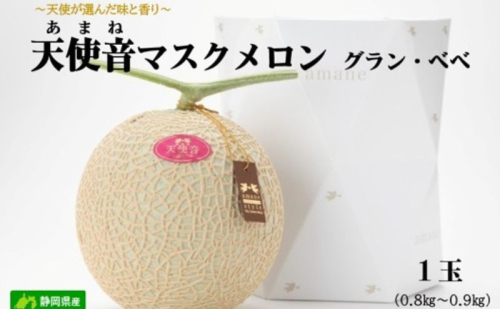 天使音（あまね）マスクメロン グラン・ベベ 1玉（0.8kg～0.9kg）化粧箱入り 高級 フルーツ 果物 メロン 静岡 浜松市【配送不可：離島】 2630711 - 静岡県浜松市