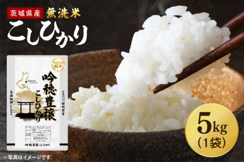 【選べる内容量】 ＜令和7年産＞ 無洗米 こしひかり 5kg タピオカ精米 コシヒカリ こしひかり 米 ごはん コメ お米 白米 精米 精米済み 国産 茨城県産 2630868 - 茨城県大洗町