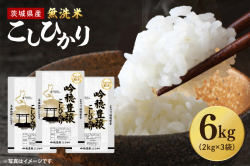 【選べる内容量】 ＜令和7年産＞ 無洗米 こしひかり 6kg タピオカ精米 コシヒカリ こしひかり 米 ごはん コメ お米 白米 精米 精米済み 国産 茨城県産 2630880 - 茨城県大洗町