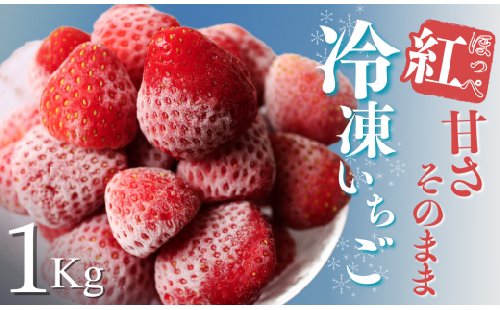 【予約受付】冷凍イチゴ１kg（2020年第31回静岡県いちご果実品評会入賞）　【 いちご 果物 フルーツ 苺 イチゴ 冷凍 果物 フローズン くだもの 大容量 静岡県産 期間限定 】