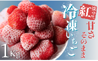 【予約受付_2025年2月以降】冷凍イチゴ１kg（2020年第31回静岡県いちご果実品評会入賞）　【 いちご 果物 フルーツ 苺 イチゴ 冷凍 果物 フローズン くだもの 大容量 静岡県産 期間限定 】