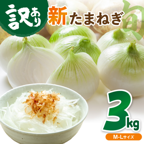 【訳あり】新たまねぎ 3kg 2630926 - 京都府京丹後市