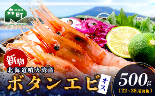 【新物】冷凍ボタンエビ（オス）500g 北海道噴火湾産 ＜海鮮問屋　株式会社　瑞宝＞ えび エビ 海老 ぼたんえび ぼたん海老 ボタン海老 ボタンエビ ぼたんエビ 牡丹海老 北海道 森町 ふるさと納税 北海道 mr1-1406 2630952 - 北海道森町