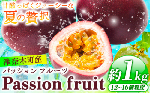 先行予約 津奈木町産 パッションフルーツ 約1kg(12～16個) つなぎ南興FARM《7月上旬-7月中旬頃出荷》フルーツ 果物 熱帯果樹栽培  2630987 - 熊本県津奈木町