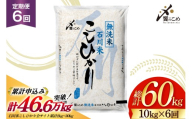 米 定期便 無洗米 石川米 こしひかり 10kg ( 5kg 2袋) 6回 総計60kg 令和8年産 新米 [中橋商事株式会社 石川県 宝達志水町 38601401] お米 白米 ごはん 美味しい コシヒカリ おこめ こめ 10kg 60kg 石川 能登 むせんまい