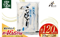 米 定期便 無洗米 石川米 こしひかり 10kg ( 5kg 2袋) 12回 総計120kg 令和8年産 新米 [中橋商事株式会社 石川県 宝達志水町 38601400] お米 白米 ごはん 美味しい コシヒカリ おこめ こめ 10kg 60kg 石川 能登 むせんまい