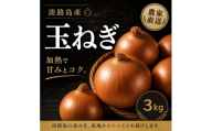 淡路島産たまねぎ　3kg 兵庫県 洲本市 淡路島[№5395-0555]
