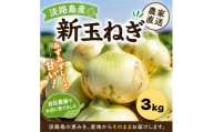 淡路島産新玉ねぎ　3kg 兵庫県 洲本市 淡路島[№5395-0556]