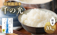 特別栽培米 「 千の光 」　( 精米 )　10kg　米 お米 ごはん 特別栽培 兵庫県 洲本市 淡路島 鮎原塔下[№5395-0566]