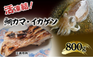 活凍結シリーズ　活凍結 鯛カマ・イカゲソ 800g 魚介 海鮮 急速凍結 鮮度保持 真空パック 便利 ギフト 贈答用 兵庫県 洲本市 淡路島[№5395-0569]