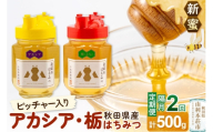 《先行受付》【定期便隔月・2回】【新蜜】小松養蜂場 はちみつ 秋田県産100％ ピッチャー入 アカシア・栃蜂蜜セット 合計500g （アカシア蜂蜜250g、栃蜂蜜250g） [はちみつ ハチミツ 蜂蜜 国産 秋田県産100％ 自家採蜜100％]
