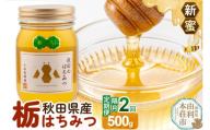 《先行受付》【定期便隔月・2回】【新蜜】小松養蜂場 はちみつ 秋田県産100％ 栃蜂蜜 500g [はちみつ ハチミツ 蜂蜜 国産 秋田県産100％ 自家採蜜100％]