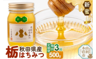《先行受付》【定期便隔月・3回】【新蜜】小松養蜂場 はちみつ 秋田県産100％ 栃蜂蜜 500g [はちみつ ハチミツ 蜂蜜 国産 秋田県産100％ 自家採蜜100％]