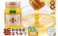 《先行受付》【定期便隔月・5回】【新蜜】小松養蜂場 はちみつ 秋田県産100％ 栃蜂蜜 500g [はちみつ ハチミツ 蜂蜜 国産 秋田県産100％ 自家採蜜100％]