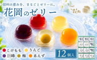 夏季限定！信州のフルーツゼリー12個セット（巨峰、こけもも、あんず、りんご、梅）【御菓子処花岡】　｜お中元 ギフト 贈り物 プレゼント