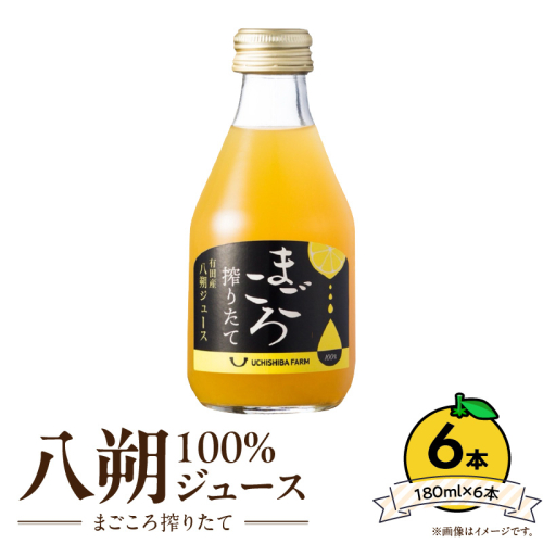 ZE6426_【まごころ搾りたて】八朔ジュース100％ 180ml×6本 2631285 - 和歌山県湯浅町