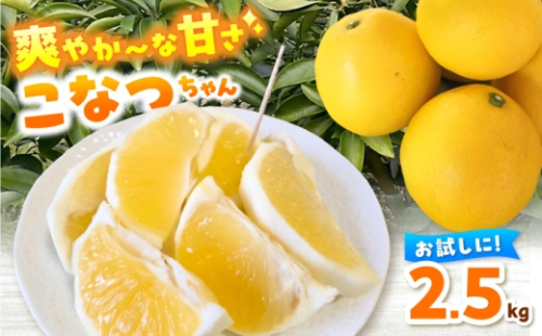「こなつちゃん」小夏2.5kg / 高知県土佐市産 柑橘 爽やか 【土佐文旦産直協同組合】 [BQAH013] 2631326 - 高知県土佐市