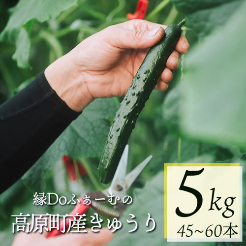 寄付完了から14日前後で発送 2631513 - 宮崎県高原町