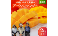 ＜2026年7月から順次発送・家庭用＞今帰仁ゆがふ農園のアーウィンマンゴー2kg(4～6玉)【1694708】