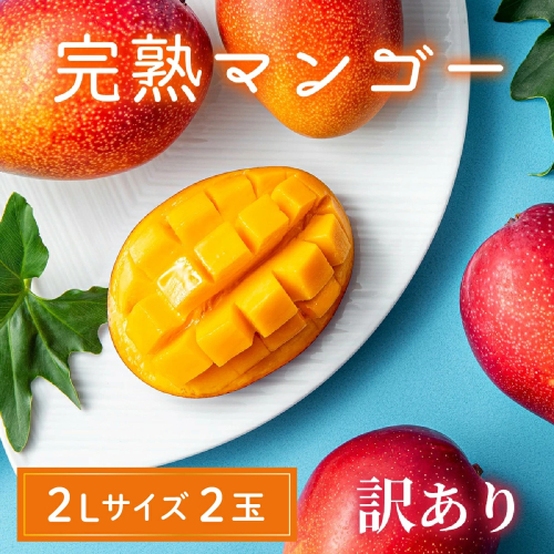 【訳あり】完熟マンゴー 2L×2玉（パック）濃厚 宮崎 果物 フルーツ 贈答 ギフト 甘い 先行受付 送料無料【JA綾町】_A0114-110 2631739 - 宮崎県綾町