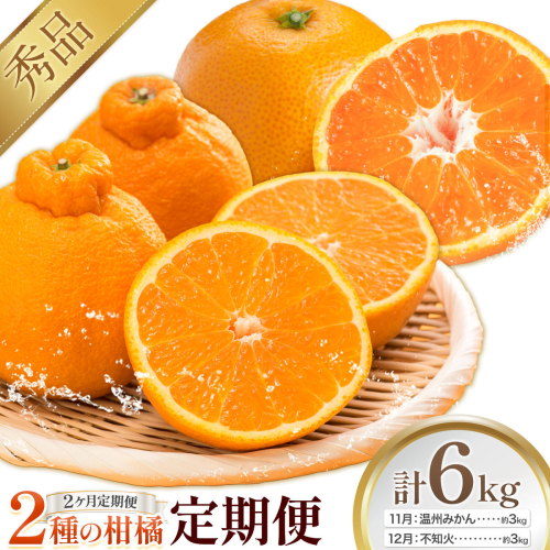 【2ヶ月定期便】2種の柑橘定期便 計6kg 日本フルーツ株式会社 《11月上旬-12月末頃出荷》 熊本県 長洲町 温州みかん 不知火 果物 秀品 フルーツ スイーツ デザート ギフト ご贈答 2631741 - 熊本県長洲町