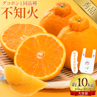 不知火（デコポン同品種） おすそ分け袋付き 5kg×2ケース 計10kg 日本フルーツ株式会社 熊本県 長洲町 《2月上旬-4月上旬頃出荷》 果物 秀品 フルーツ スイーツ デザート ギフト おすそ分け